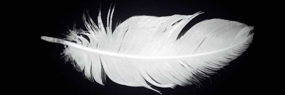 ilkyazzs's profile banner image