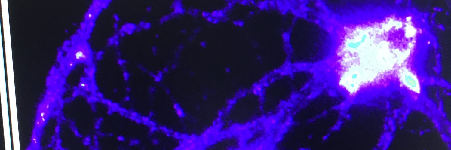 dr_yns's profile banner image