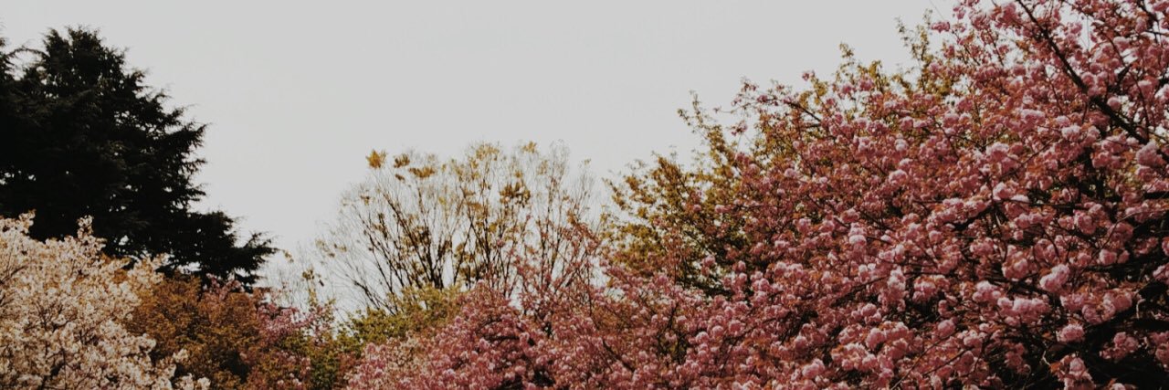 bkellyyyy's profile banner image