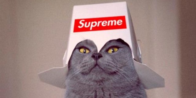 SamForrest3's profile banner image