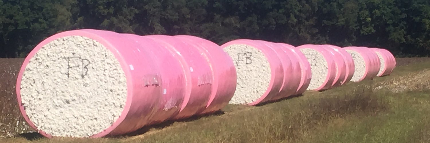 SouthernFields banner