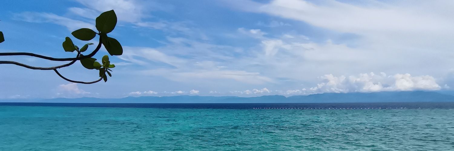 eynjella's profile banner image