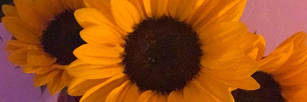 NotLikee_Them's profile banner image