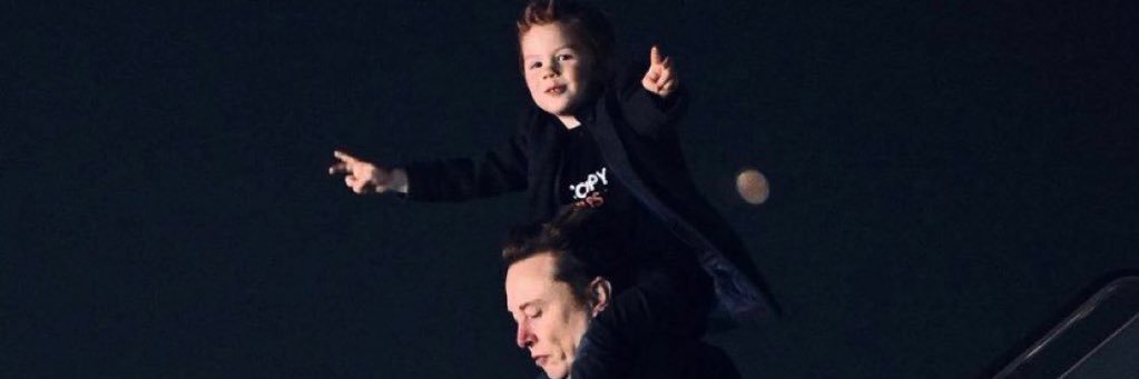 ELONMUSKFACT banner