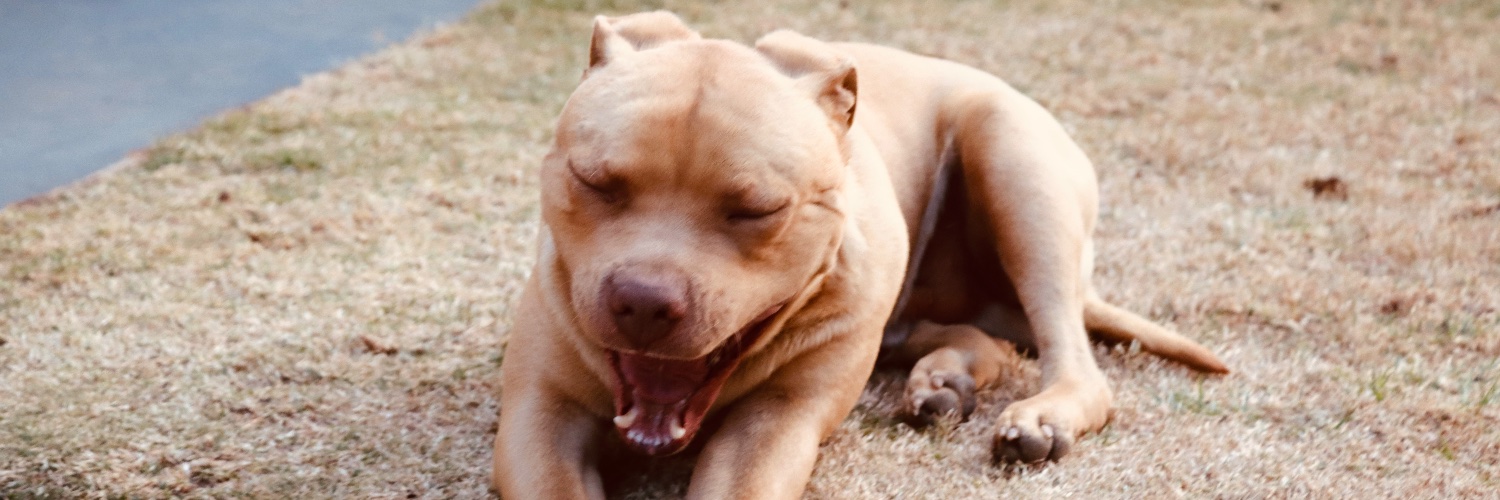 FigoKaygee's profile banner image
