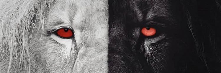 dreambigron's profile banner image