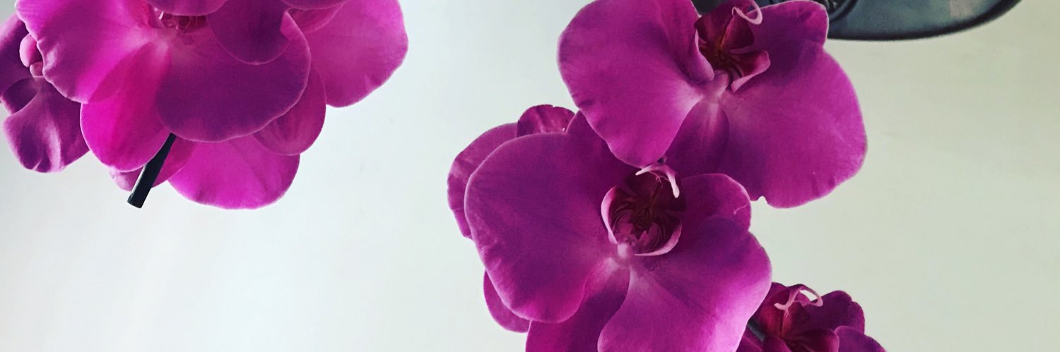 27_milln's profile banner image