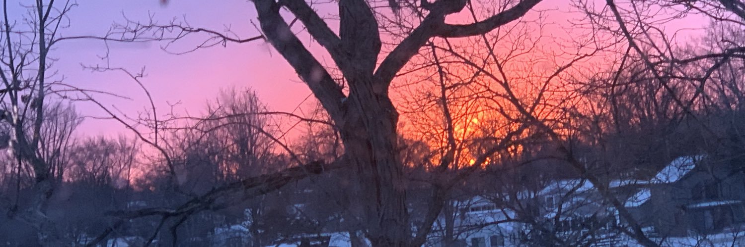 bheimann's profile banner image