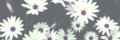 sourbliss1's profile banner image