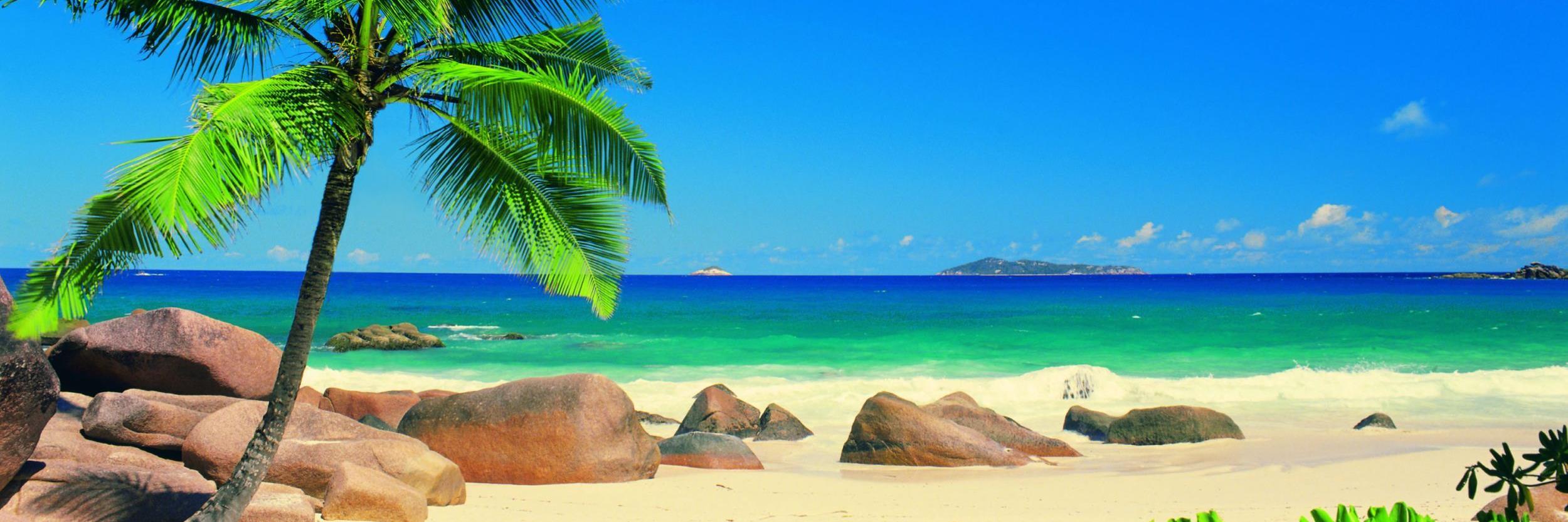 MSUCaribbeanSA's profile banner image
