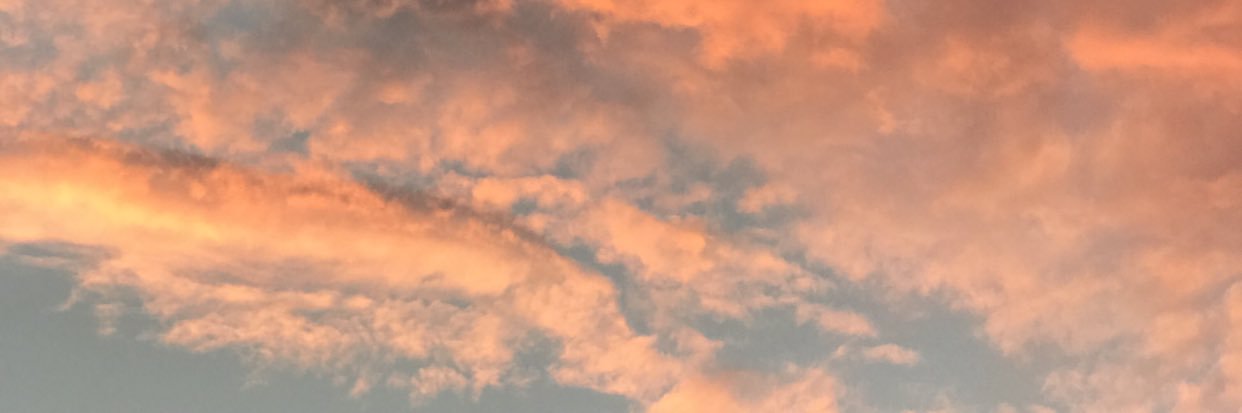 vickipaci1's profile banner image