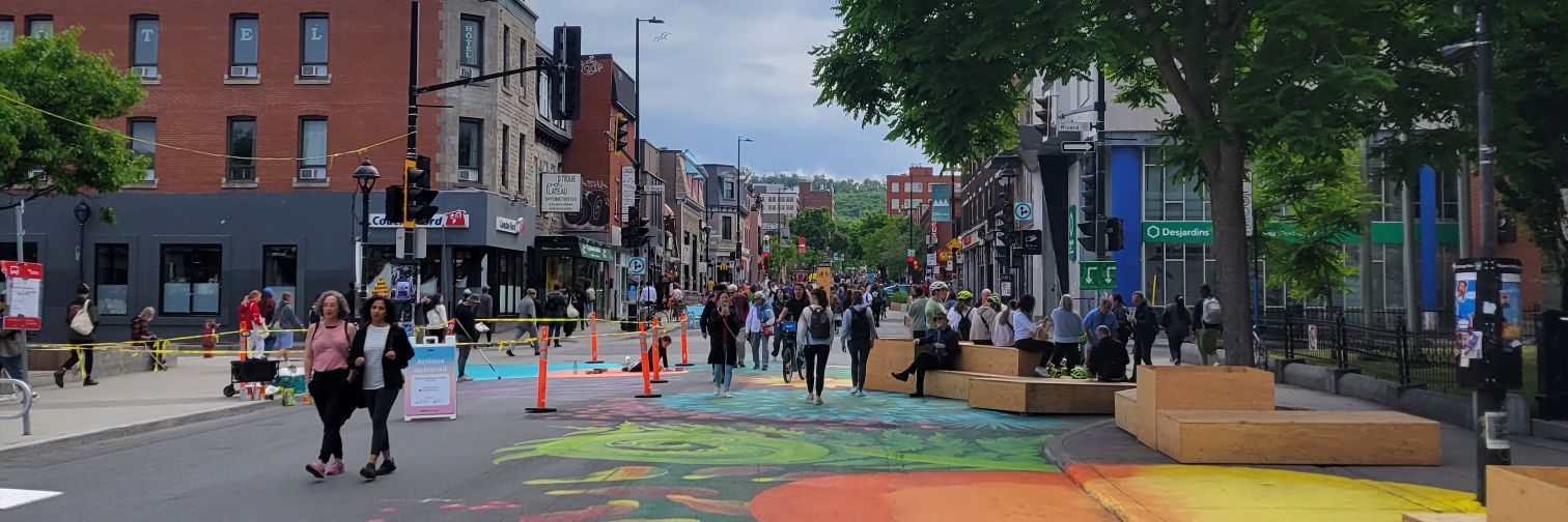 Dr Bridget Foley banner