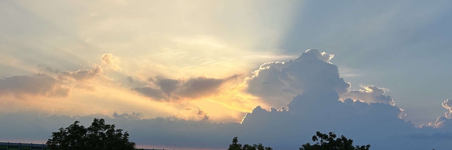 gerbihanne's profile banner image