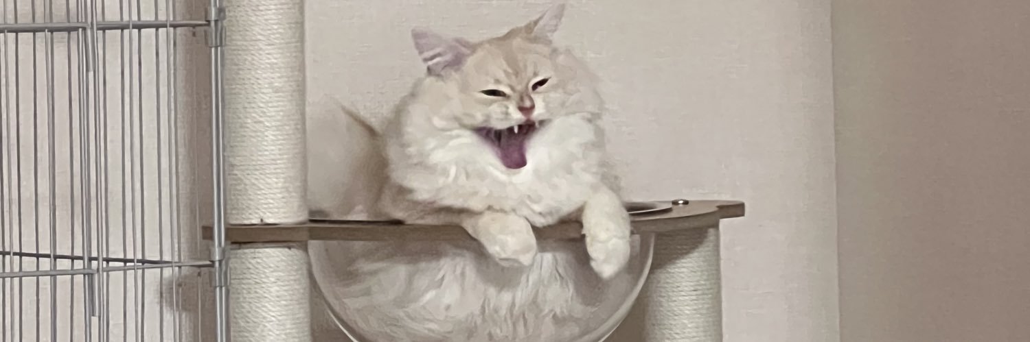 nekomater's profile banner image