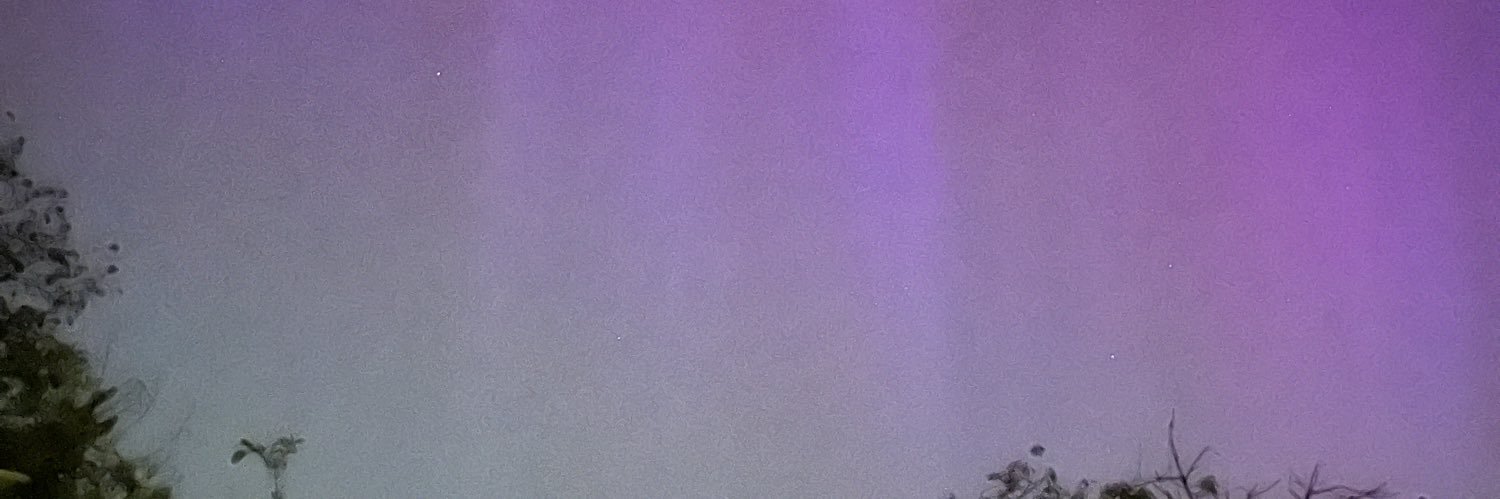 tardyapish 💙 banner