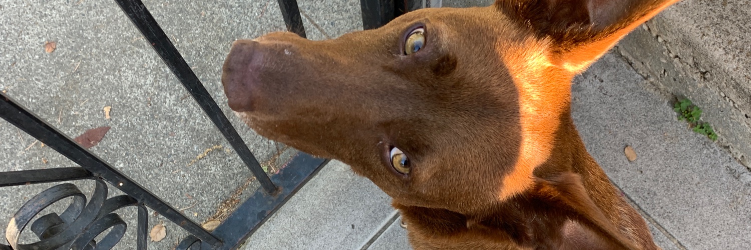 _SweetVeeeee's profile banner image