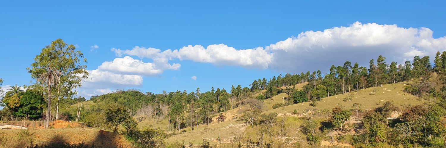 NuneswanA's profile banner image