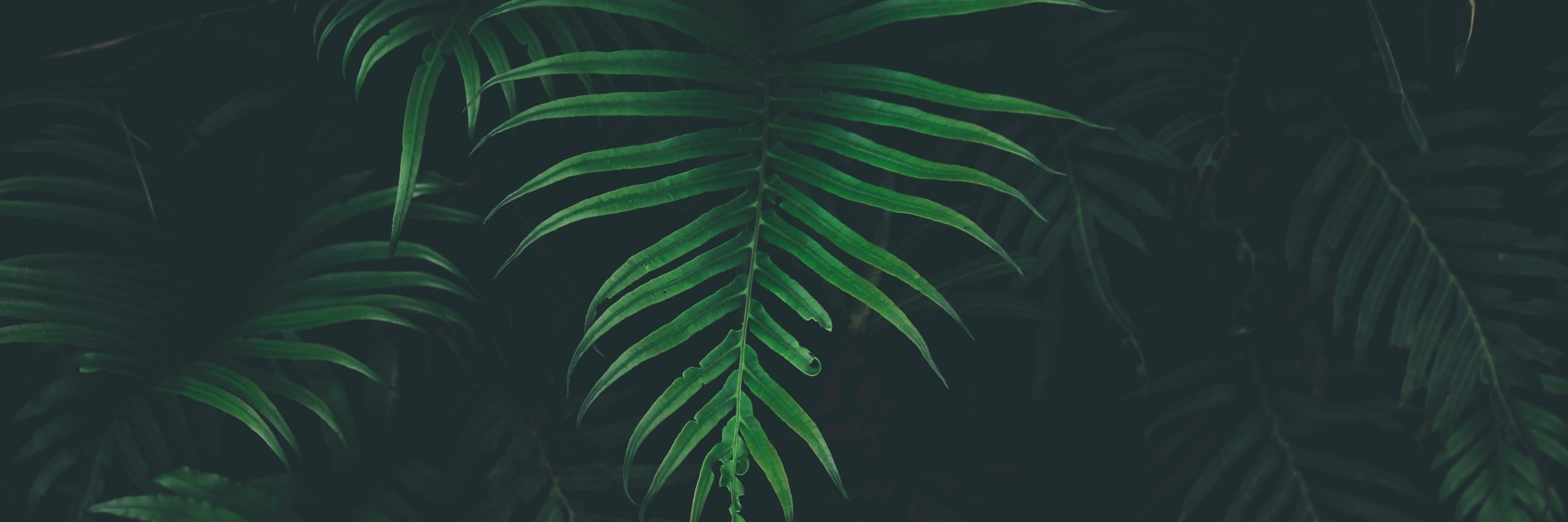 cvcvvccvc's profile banner image