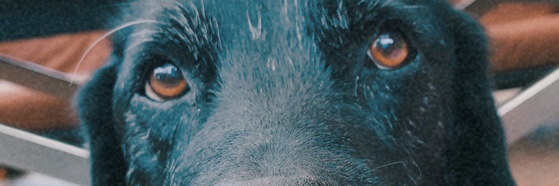 valebriaaaa_'s profile banner image