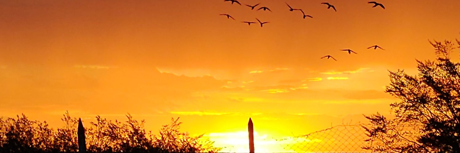 MaruOrtizTw's profile banner image