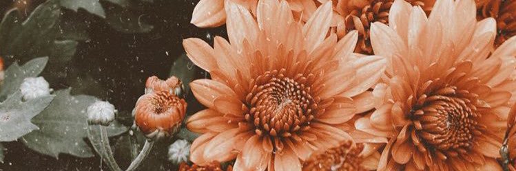 Nikki0123's profile banner image