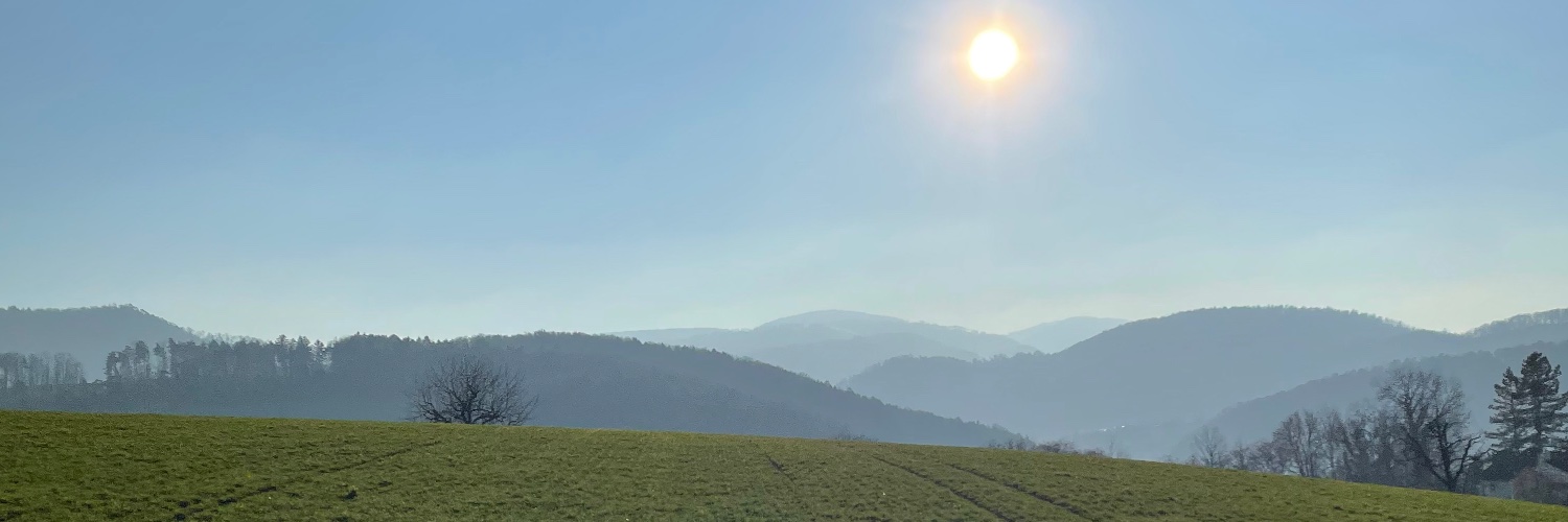 ManuelBallmer's profile banner image