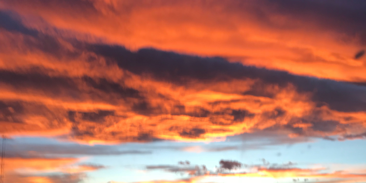 Chase_Walker's profile banner image