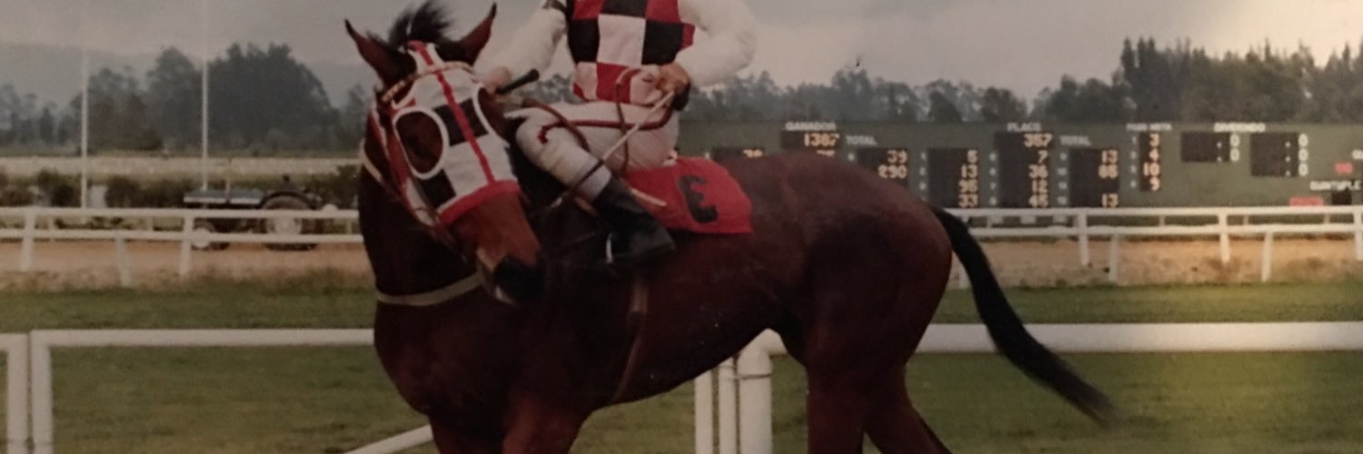 danylson's profile banner image