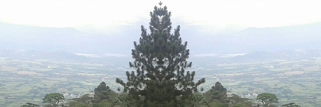 Clover_Ireland's profile banner image
