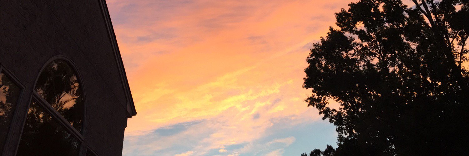 AviLele's profile banner image