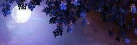 EysMy's profile banner image