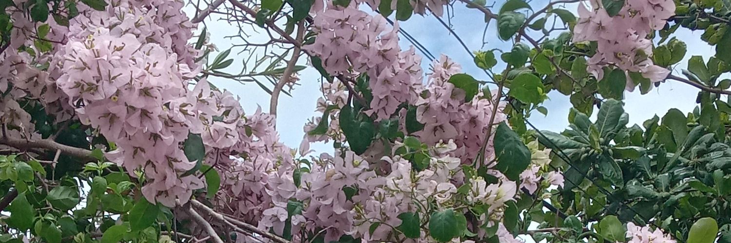 ItsLuizCesar's profile banner image