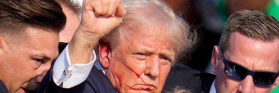 FitzgeraldBob's profile banner image