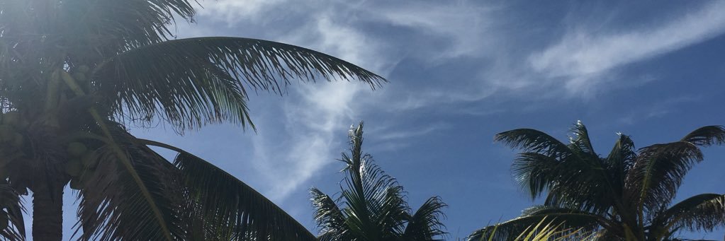 izzy_seguin's profile banner image