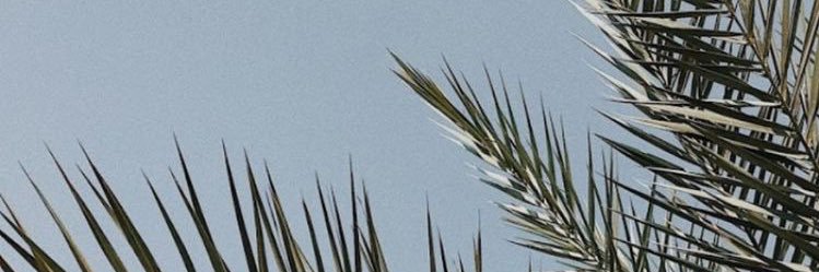 Daisyalbery's profile banner image