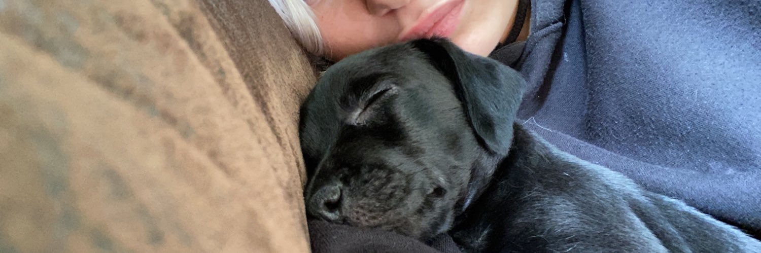 Elliejohnston_'s profile banner image