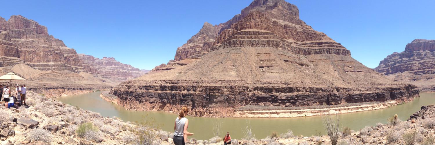 Danielle Flynn banner