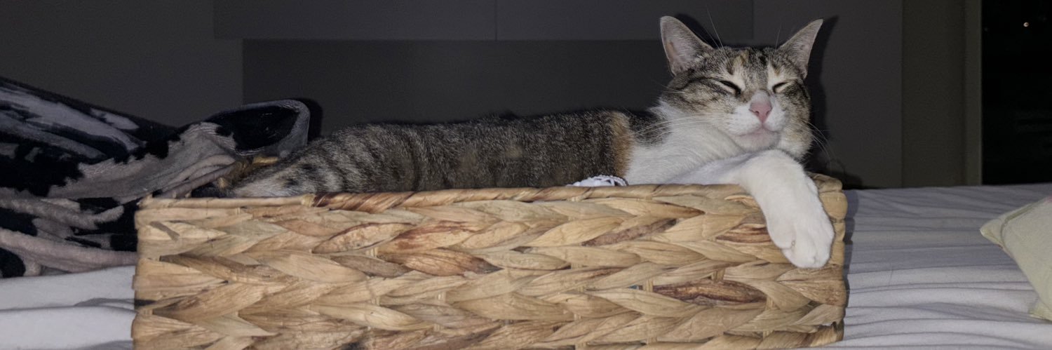 caahdib's profile banner image