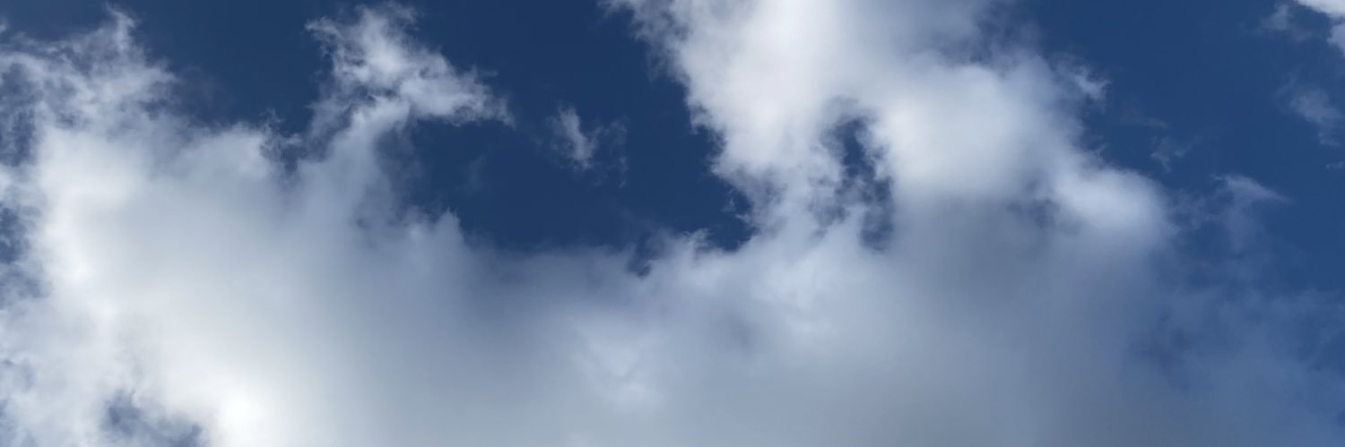 becca_fain's profile banner image