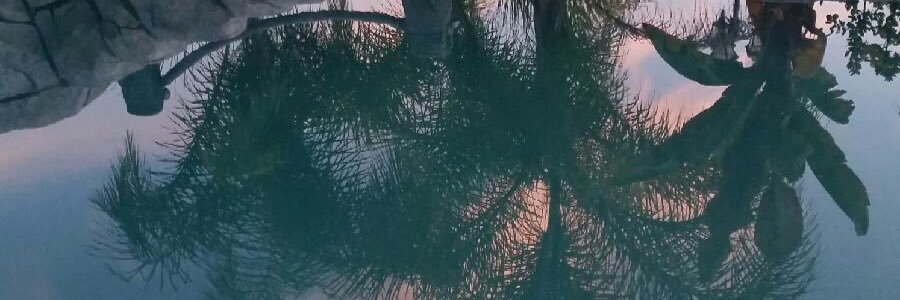veda8008's profile banner image