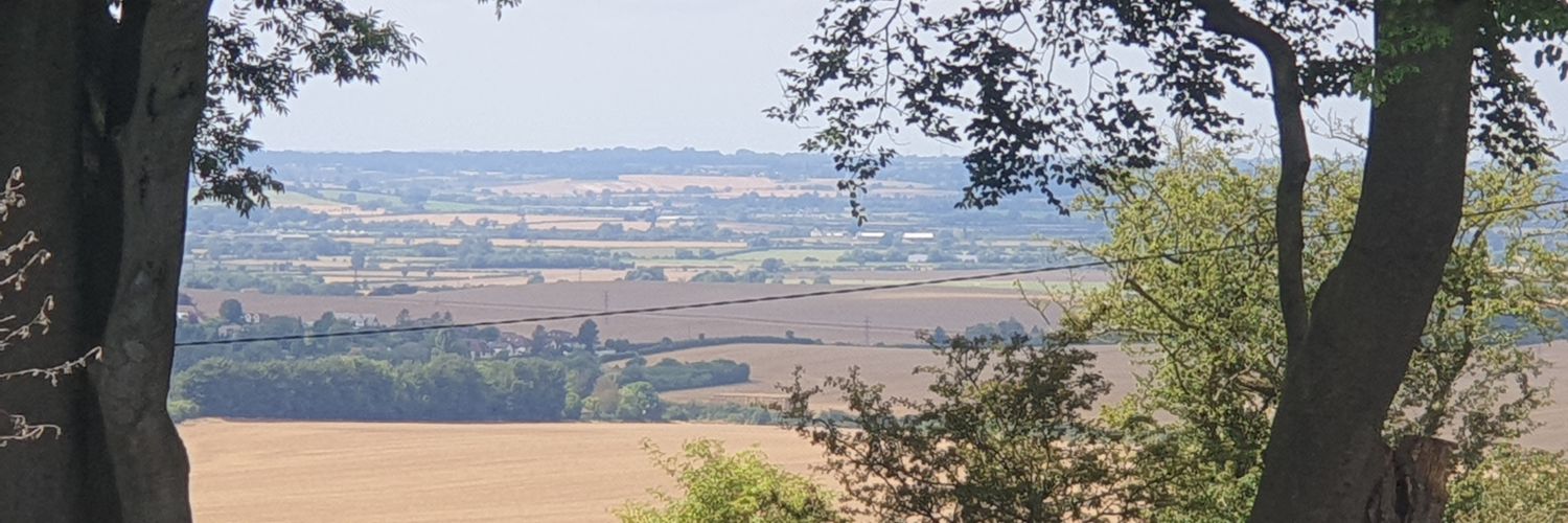 CalHartbeeps's profile banner image