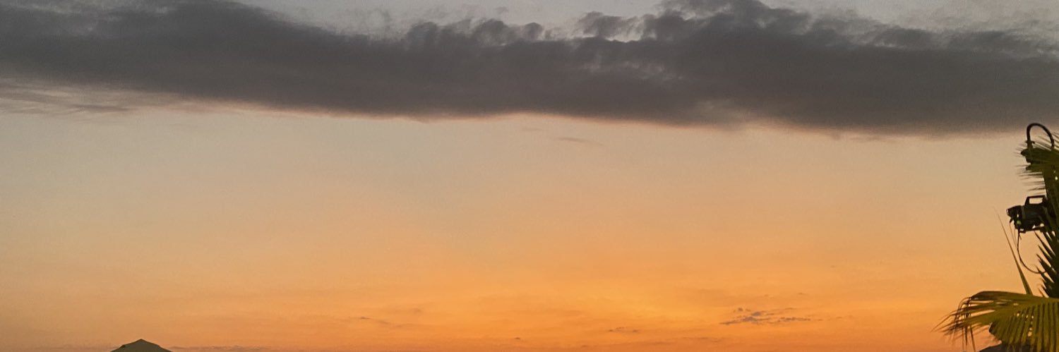 rojogrn's profile banner image