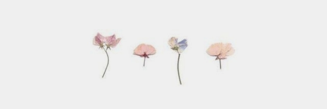 MelCufre's profile banner image