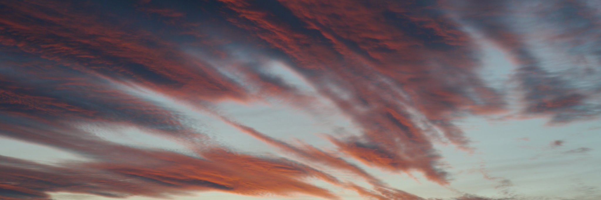 MirasAlex's profile banner image