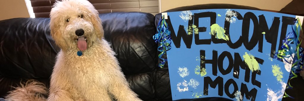 hannahboydo's profile banner image