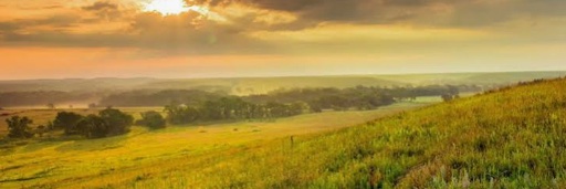 SunnyinKansas99's profile banner image
