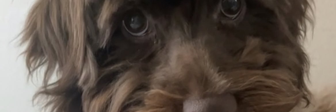 yoFranciss's profile banner image