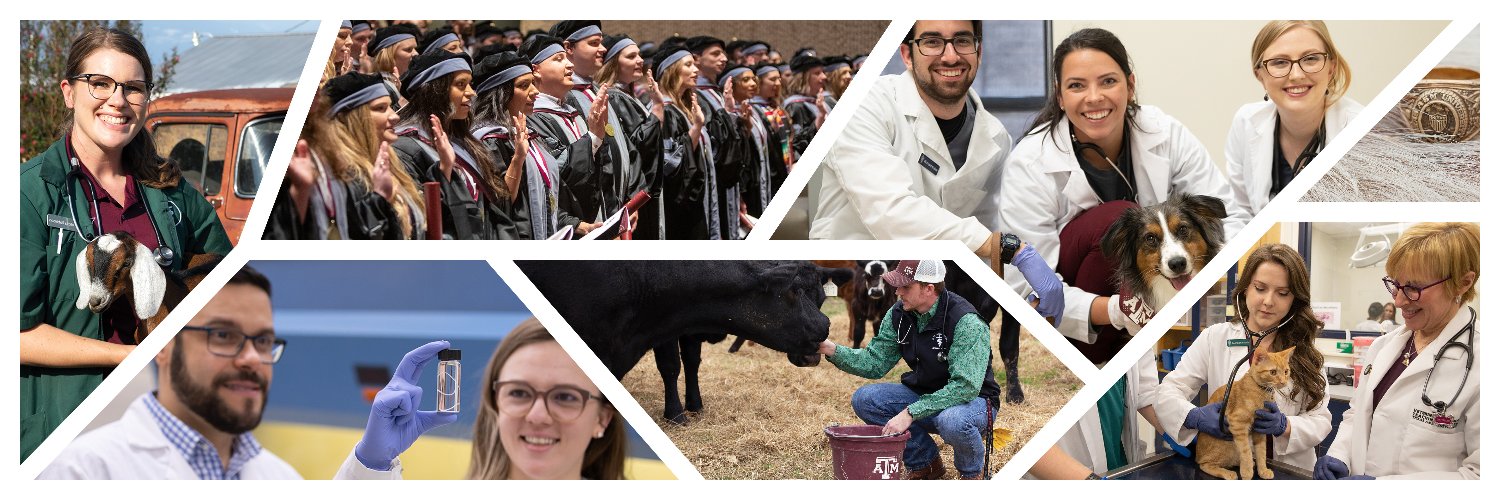 Texas A&M VetMed banner