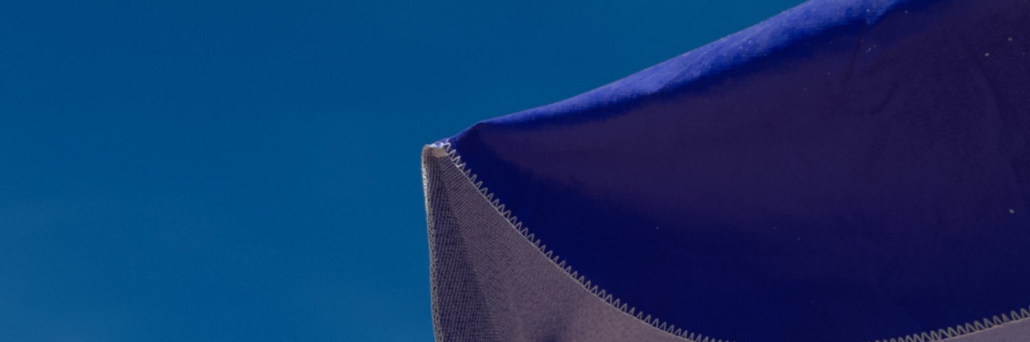 yvis banner