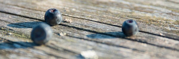 nilshartmann Profile Banner